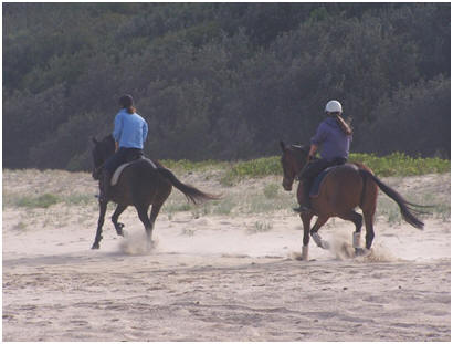 Een buitenrit onder begeleiding van Equive - www.paardrijlesprive.nl